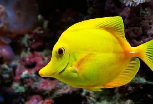 1697136231233187.png image.png