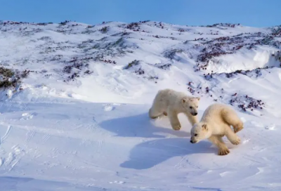 ​相聚一起快乐时光句子 姐妹相聚一起快乐时光句子