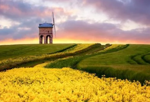 1697142055637529.png image.png