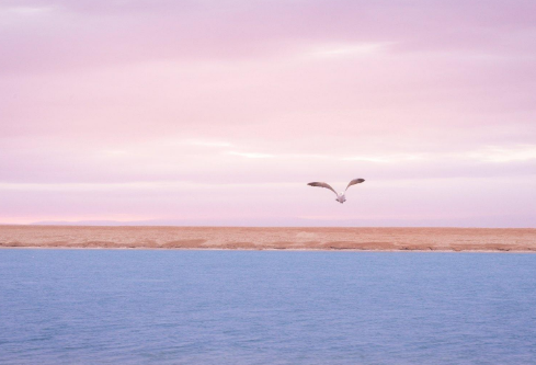 1697306533549782.png image.png