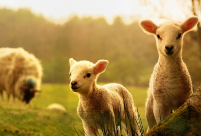 ​十大经典励志美文