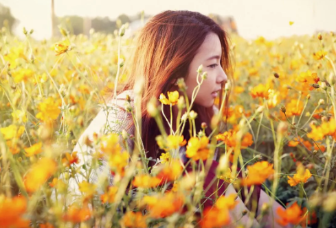 1697312497305864.png image.png