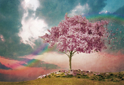 1697316473463082.png image.png