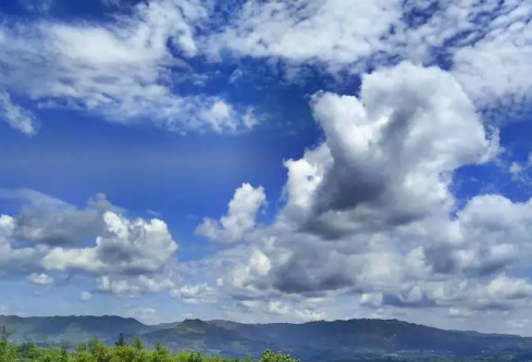 1697318138348805.png image.png