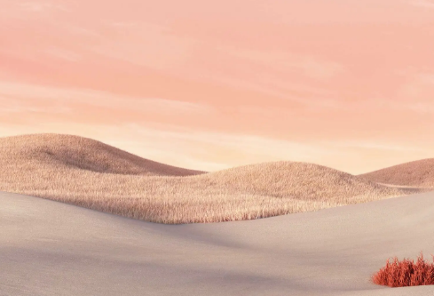 1697318469961319.png image.png