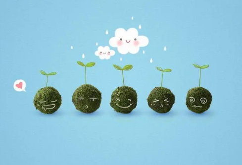 1697318802854793.png image.png