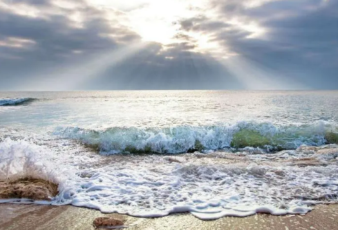 1697319307937010.png image.png