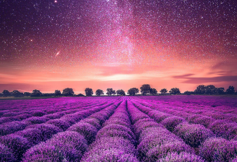 1697321790589902.png image.png