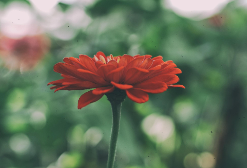 1697321956905422.png image.png