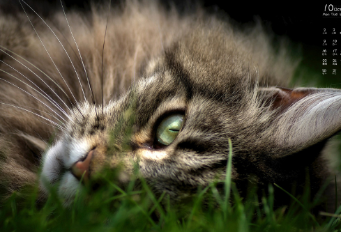 1697323116212758.png image.png