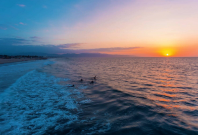 ​《八佰》电影观后感范文大全