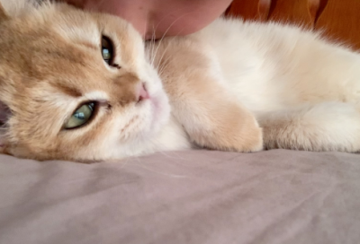 ​爱心捐款倡议书范文