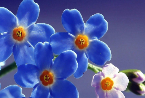 1697326924921298.png image.png