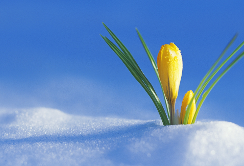 1697327090414238.png image.png