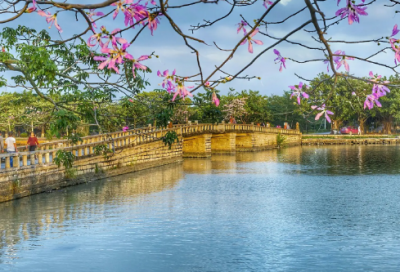 ​《盗梦空间》这几个细节你看懂了吗 精彩影评解析奉上