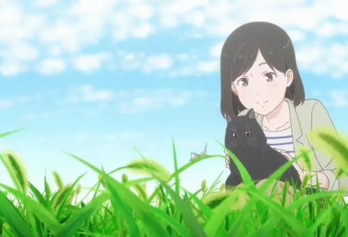 1697330401646169.png image.png