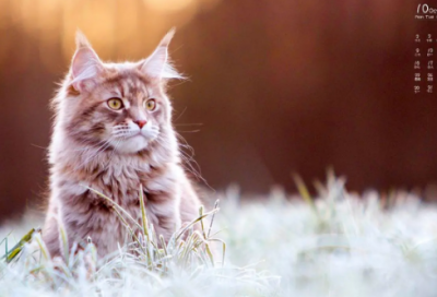 ​关于生活(哲理美文)