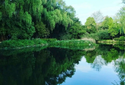 ​原创美文:到了晚年才发现,风光无限的人,都有这四个人生优点