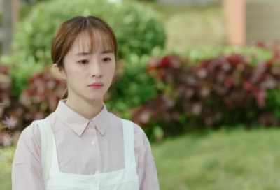 ​美文|北方的白杨和其他