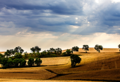 ​像卓文君一样勇敢(美文原创 禁止转载)