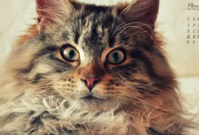 ​什么是人生,什么又是人生中的知足常乐(深度美文)