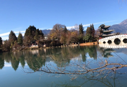 1697336032526767.png image.png