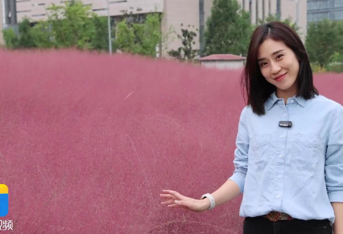 1697337854763106.png image.png