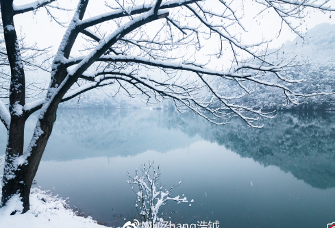 1697340185732478.png image.png