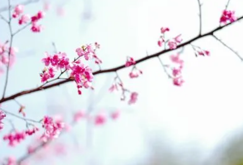 1697340516279353.png image.png