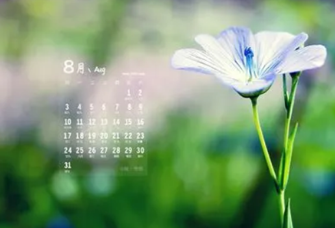 1697341013181965.png image.png