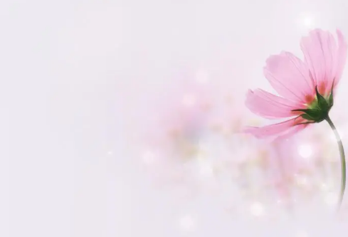 1697341676122899.png image.png