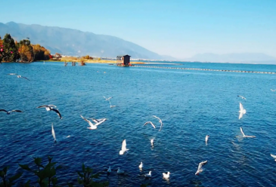 ​《大鱼海棠》人生感悟推荐