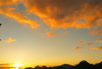 ​美文佳句摘抄