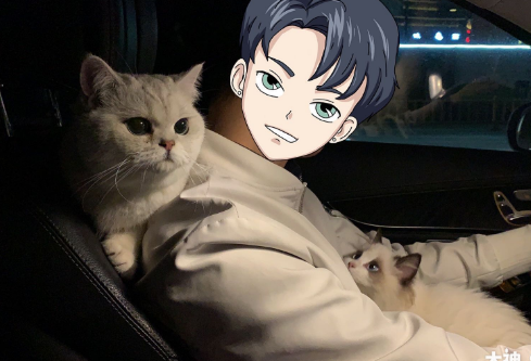 1697354602744235.png image.png