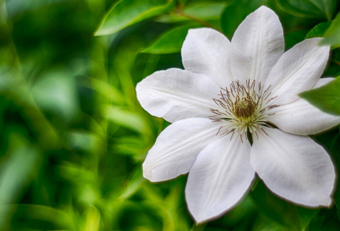 1697355099552125.png image.png