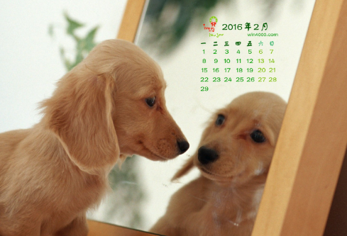 1697356264906763.png image.png