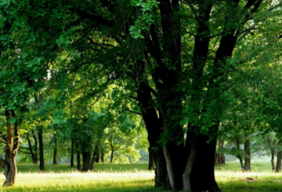 ​我只能带着你的名字去流浪(伤感美文)