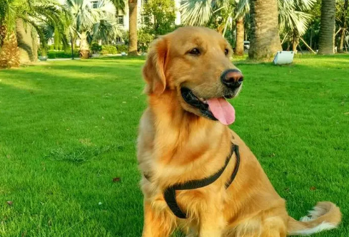 1697363396761767.png image.png