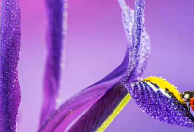 ​高三勉励语录