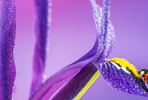 1697364224273406.png image.png