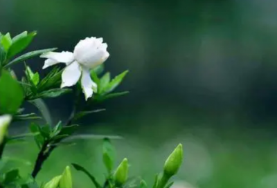 ​美文:她是你的女朋友,那我是谁?