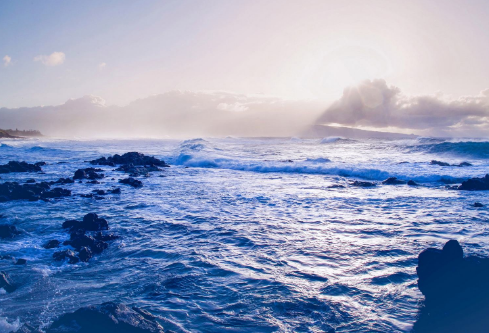 1697364721285001.png image.png