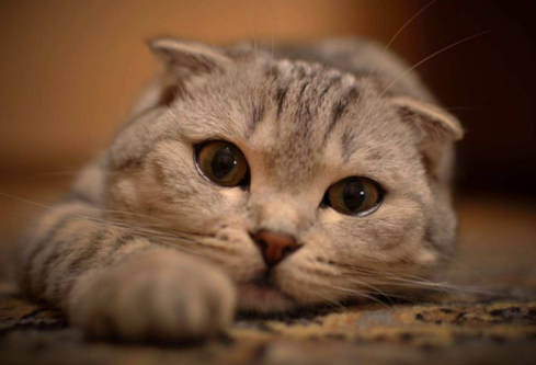 1697364887148308.png image.png