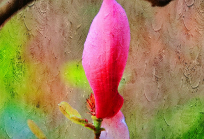 ​春分：人在春光中，心在最好处（经典美文）