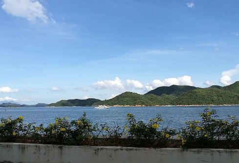 1697374179291369.png image.png