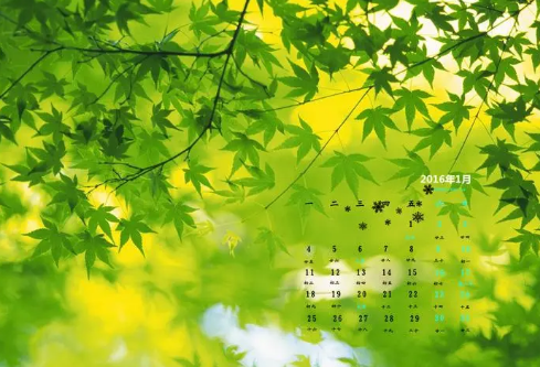 1697375173204112.png image.png