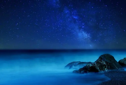 1697377491530231.png image.png