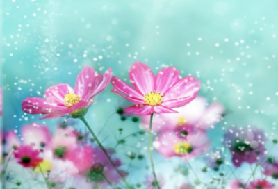 ​晚安·夜话4·经典美文·我们仨2