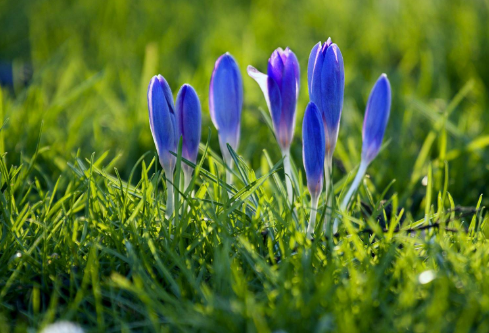 1697382305392610.png image.png