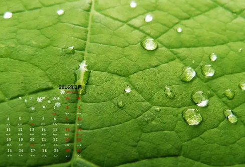 1697382803859579.png image.png